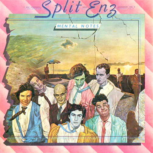 Split_Enz